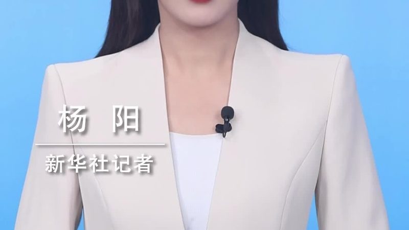 数字孪生工厂：揭秘软件开发厂家的核心价值